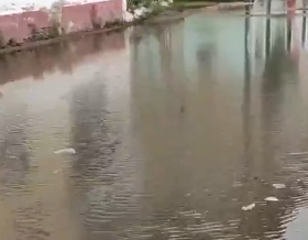 Жители улицы Калинина пожаловались на подтопление пешеходной дорожки