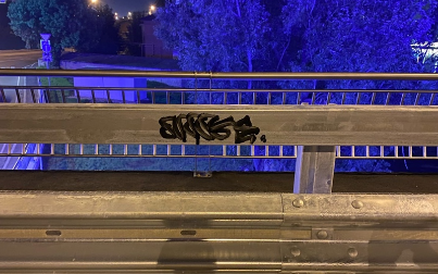 Неизвестные разрисовали черной краской новый Бакунинский мост