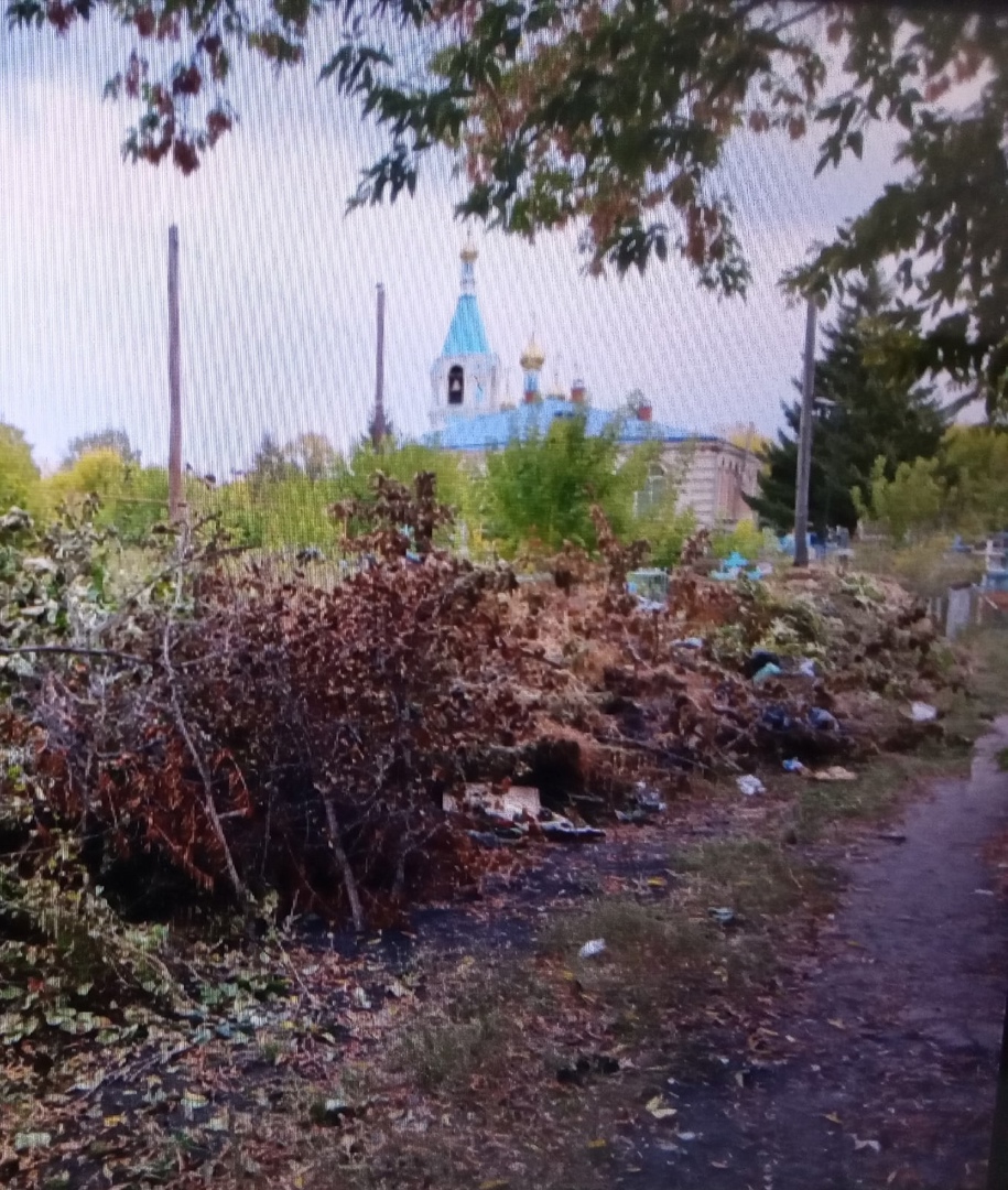 Кузнечане пожаловались на состояние центрального кладбища