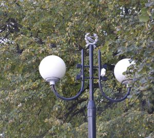 Олимпийскую аллею в Пензе закроют на обработку