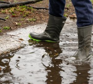 Бессоновцы просят у властей грейдер