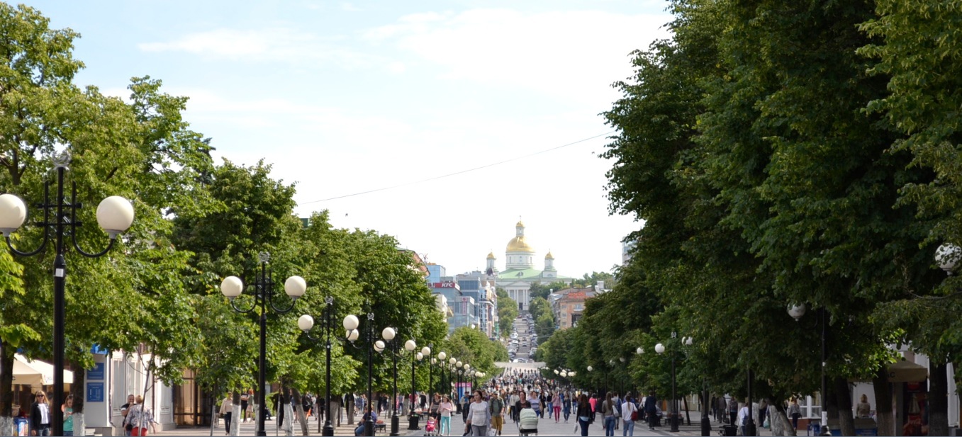 На выборах в Пензенской области не выявили серьезных нарушений