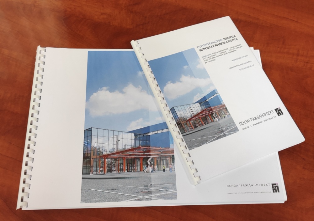 В Пензе планируют построить Дворец игровых видов спорта