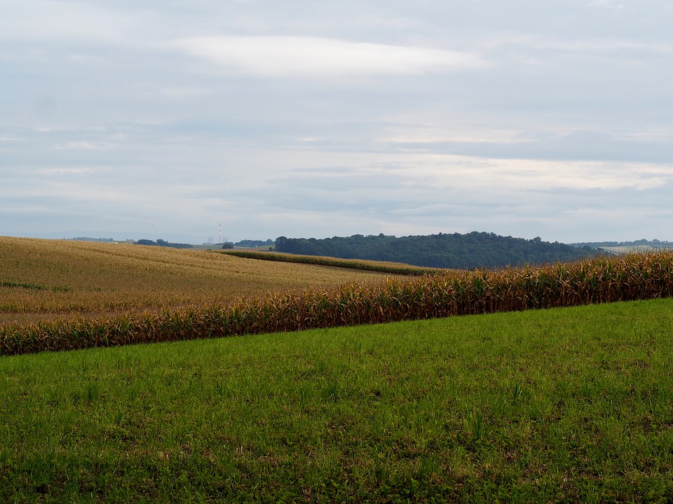 В Пензенской области более 500 раз нарушались законы в сфере землепользования