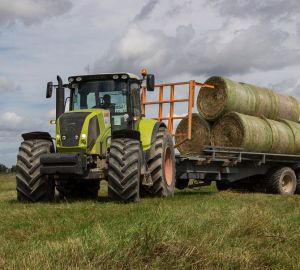 В Пензенской области достаточно кормов для зимовки сельскохозяйственных животных