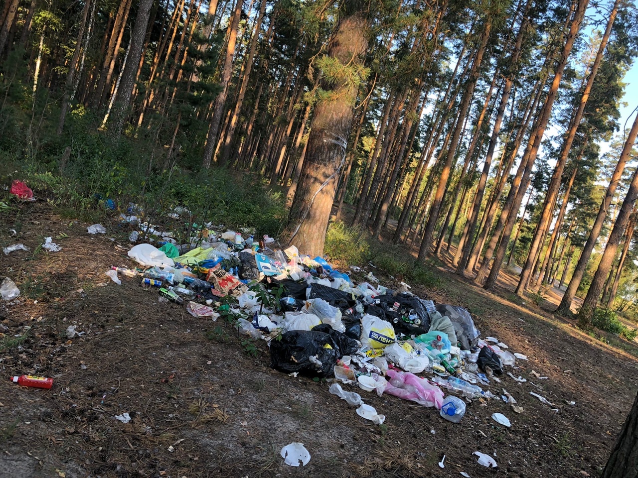 Пензенцев возмутил мусор в районе Сурского водохранилища
