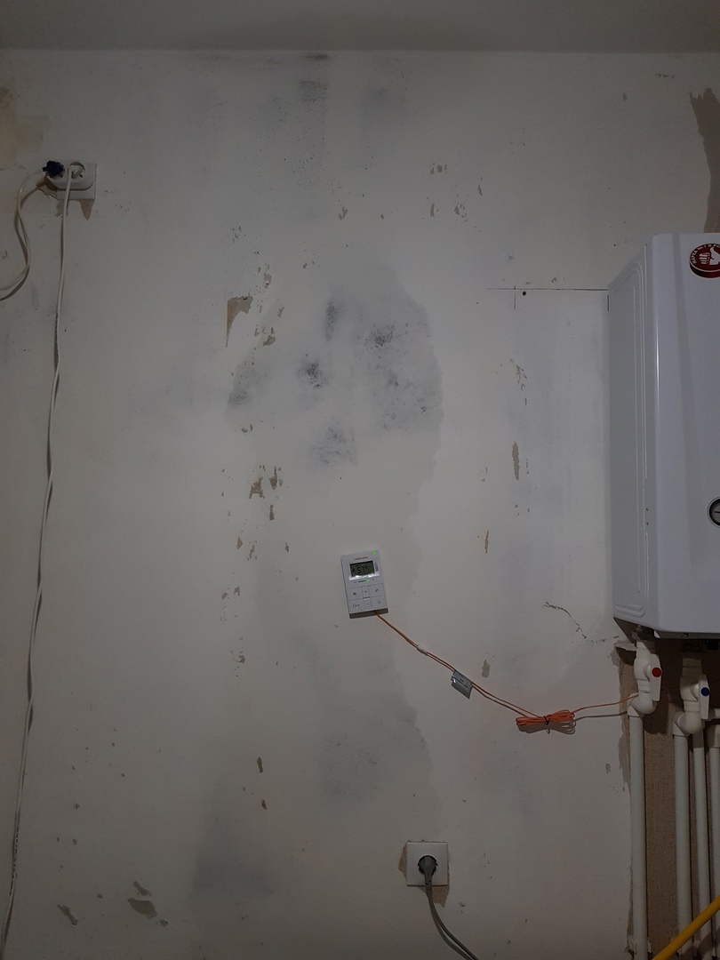 Жители кузнецкой многоэтажки с плесенью в квартирах подают в суд на застройщика