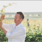 Валерий Захарьин рассказал, как разглядеть Россию через виноградную лозу