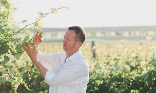 Валерий Захарьин рассказал, как разглядеть Россию через виноградную лозу