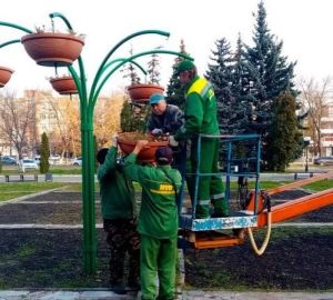 Пензенцам рассказали, куда с улиц города делись вазоны с цветами