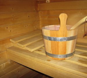 Мечтающая о бане-бочке пензячка попалась на удочку мошенника