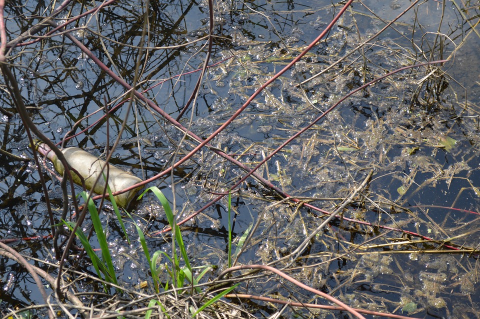 В Пензе у ЦНТИ специалисты обнаружили слив «ароматной» воды в ручей