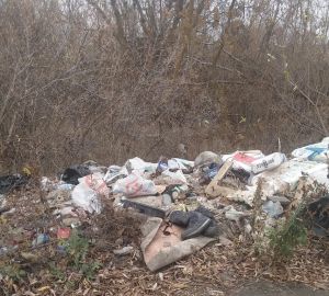 В Терновке русло реки Пенза не могут очистить из-за отсутствия подъездных путей