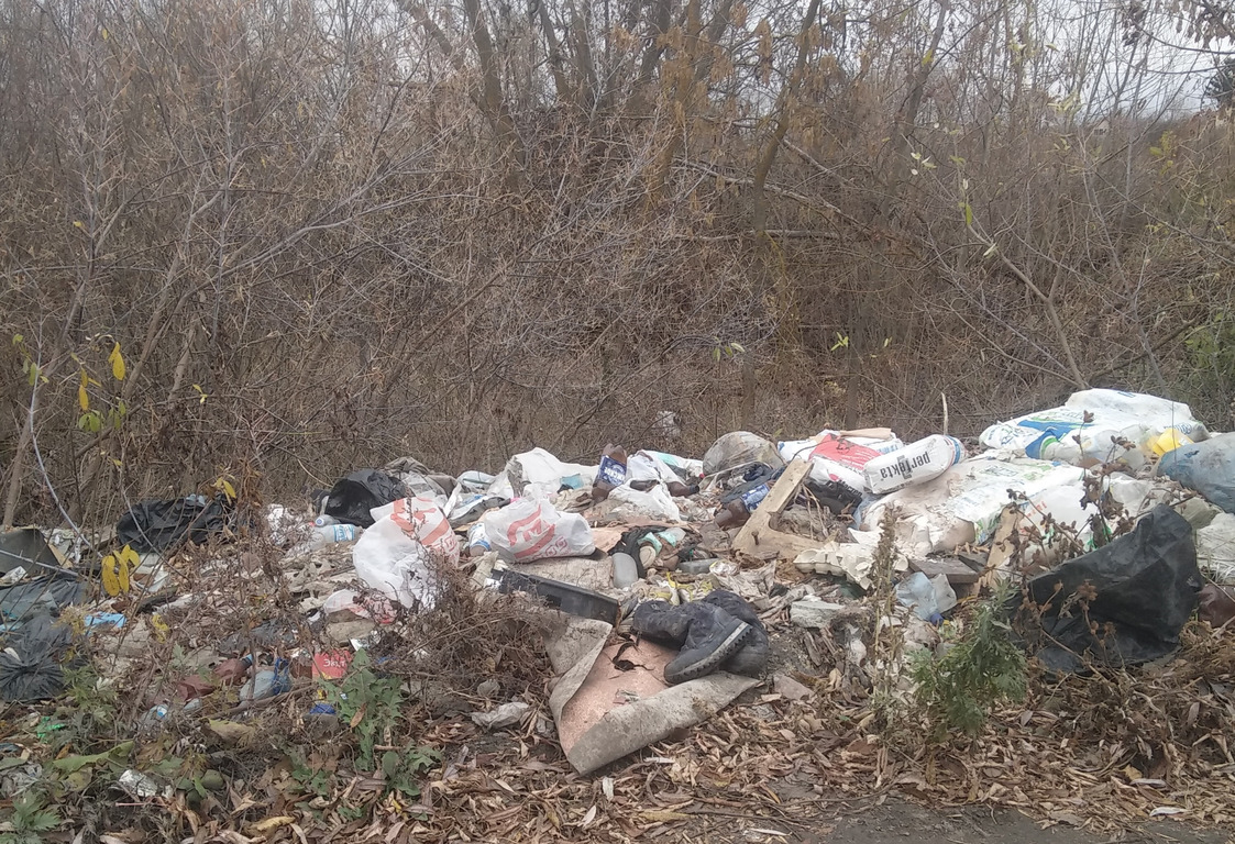 В Терновке русло реки Пенза не могут очистить из-за отсутствия подъездных путей