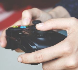 Воришка из Засечного попался на краже дорогостоящих дисков для игровой приставки