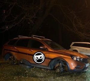 «Разули полностью»: в Пензе начал орудовать автомобильный вор