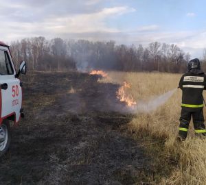 В Пензенском районе спасатели боролись с масштабным пожаром