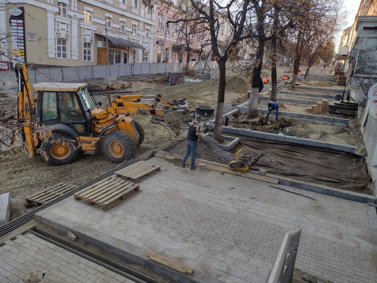 Пензенцы сообщили о новых издевательствах над липами на Московской