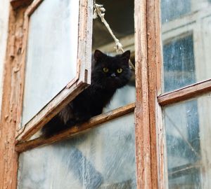 В Пензенском районе полицейские поймали «форточника»