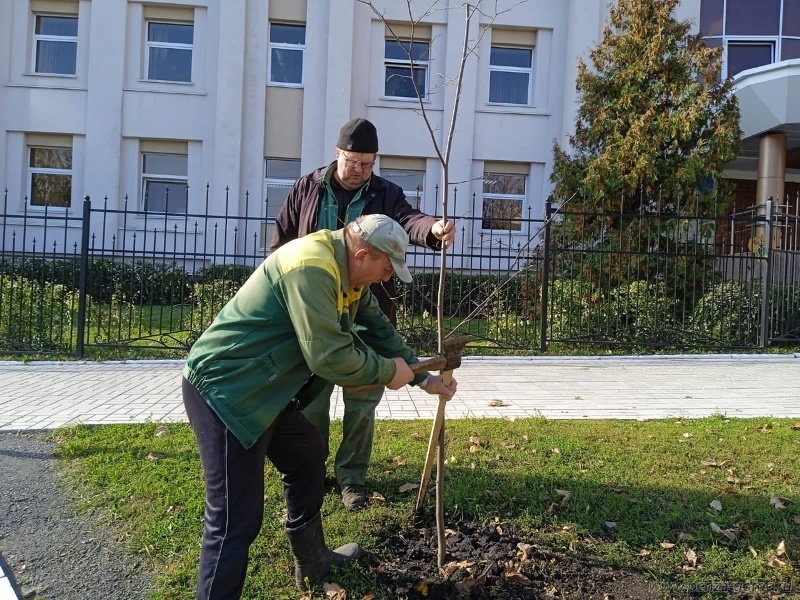 В Пензе с начала осени коммунальщики высадили более тысячи деревьев