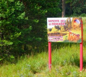 Почему в регионе горят леса