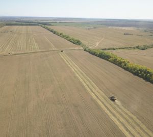 Обнародованы данные по собранному в Пензенской области урожаю
