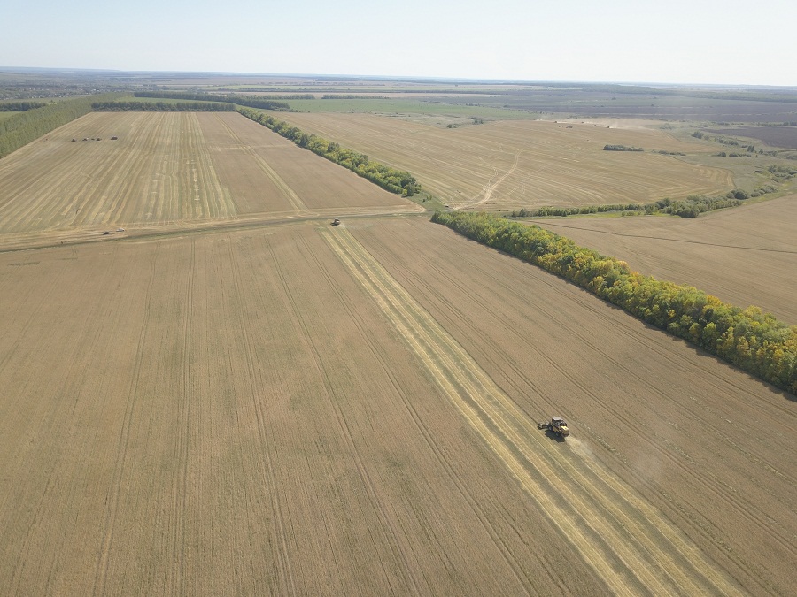 Обнародованы данные по собранному в Пензенской области урожаю