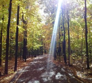 Роспотребнадзор посоветовал пензенцам в нерабочие дни чаще бывать на свежем воздухе