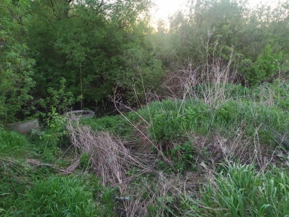 В Пензенской области нашли мать погибшей новорожденной девочки