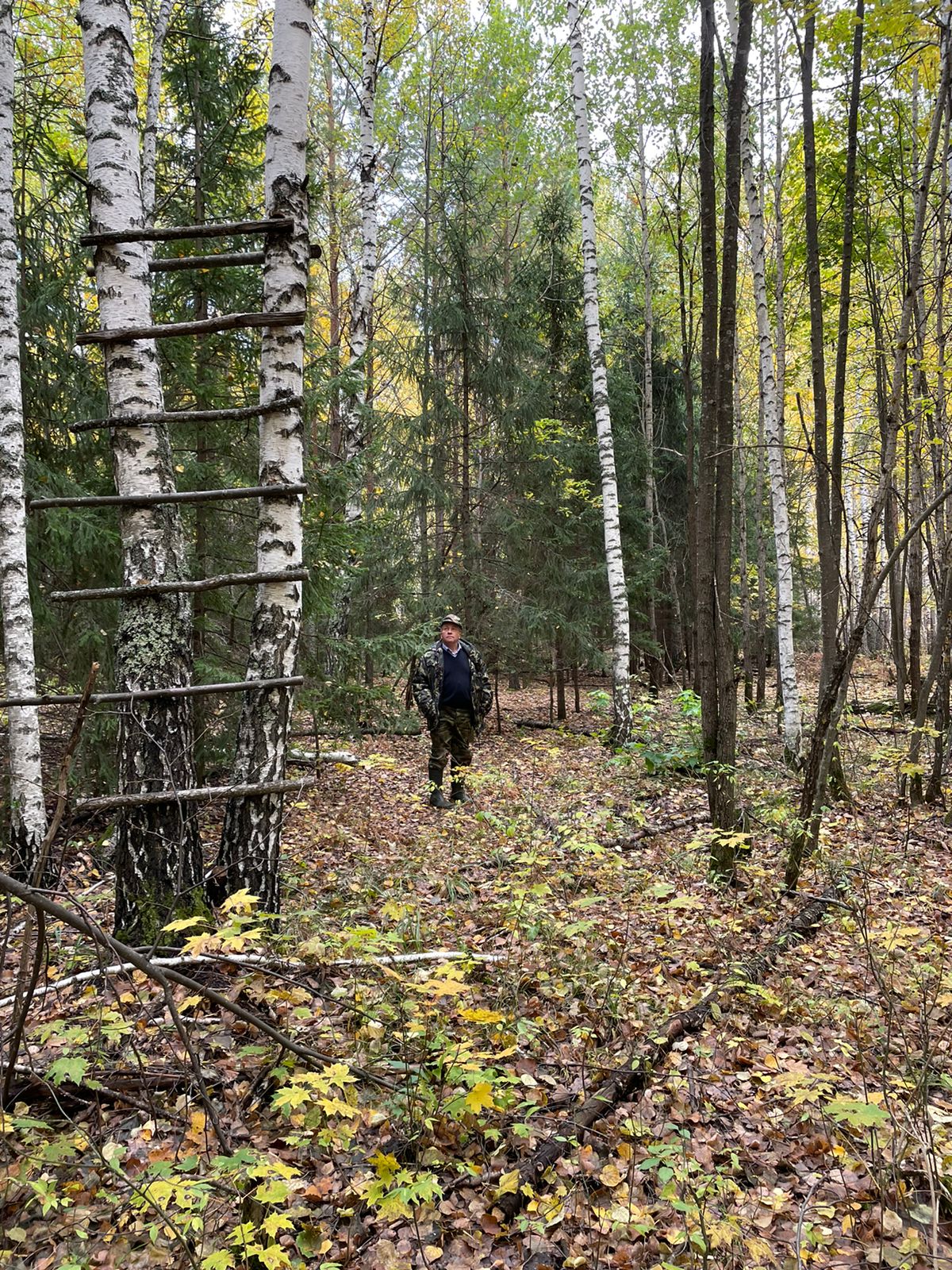 В пензенском заказнике обнаружены вышка и яма с нефтепродуктами