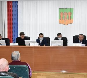 Депутаты гордумы провели публичные слушания о развитии территории СНТ на Барковке