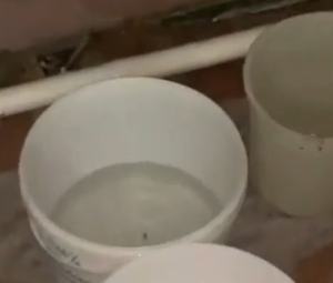 В пензенской спортшколе с протечками крыши борются с помощью тазов