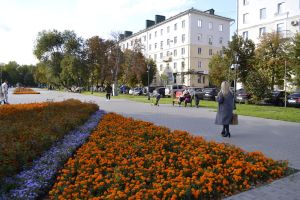 Стало известно, каким магазинам разрешат обслуживать покупателей на нерабочей неделе