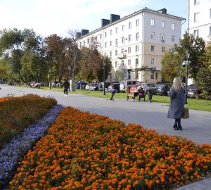Названы города и районы Пензенской области, где выявлены новые случаи COVID-19