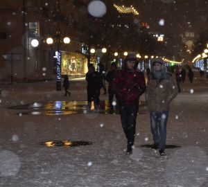 В Пензе для уборки снега закупят новую технику
