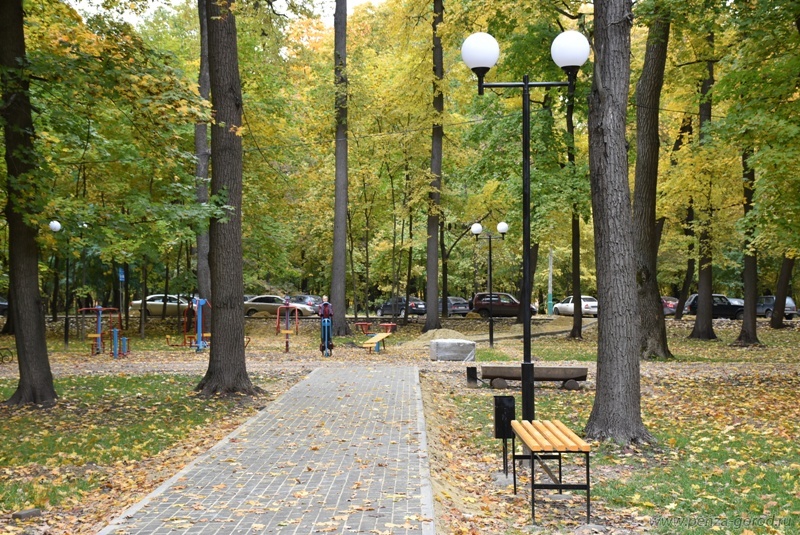 Олимпийскую аллею в Пензе временно закроют для посетителей