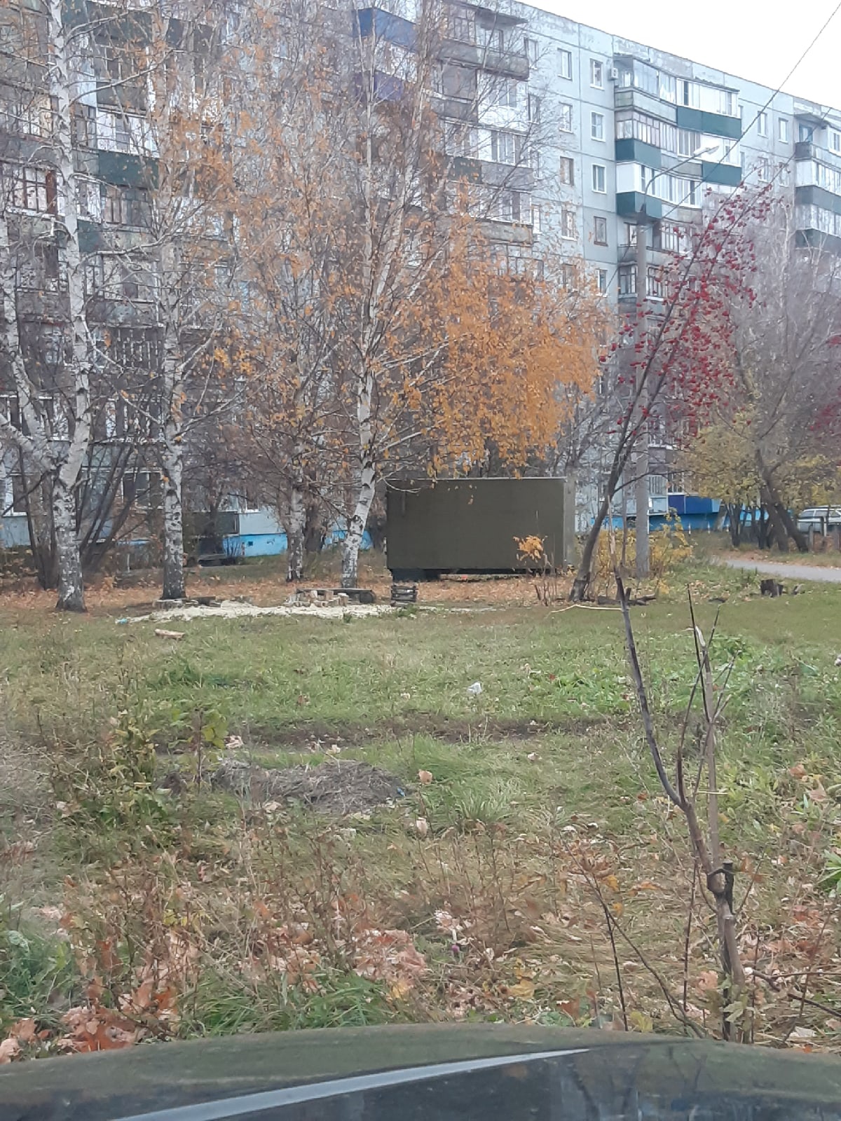 Пензенцы просят убрать будку-голубятню из арбековского двора