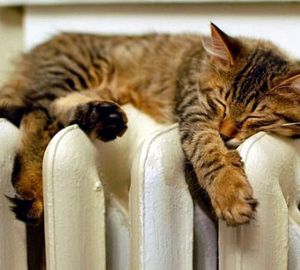 Сердобские власти рассказали о ходе отопительного сезона