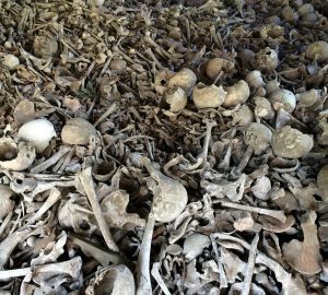 Найдено массовое захоронение рядом с отделом полиции