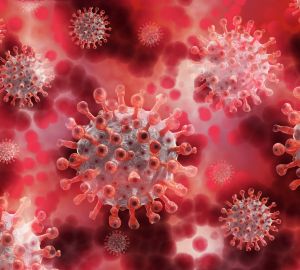 Ученые выяснили, в какое время нужно делать ПЦР-тест