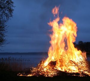Группу туристов из России арестовали в Анталии за поджог леса