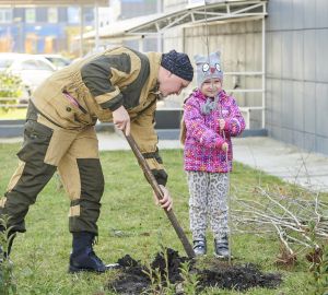 Жители Спутника посадили сотню рябин