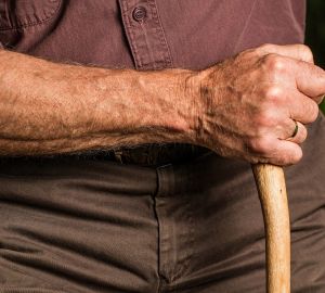 Депутат Госдумы предложил новые льготы для пенсионеров