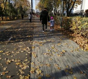 Какая погода ждет пензенцев 27 октября