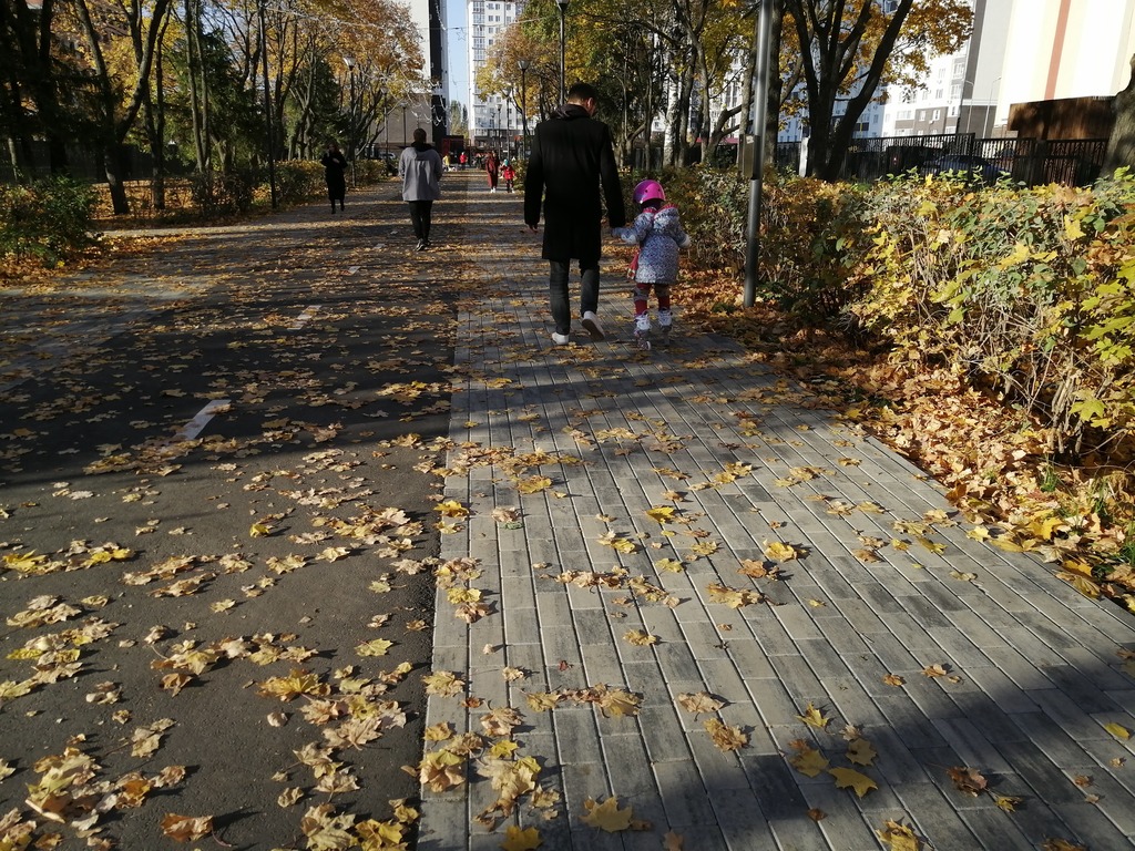 Какая погода ждет пензенцев 27 октября