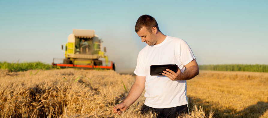 РСХБ запускает формат удобного общения с фермерами