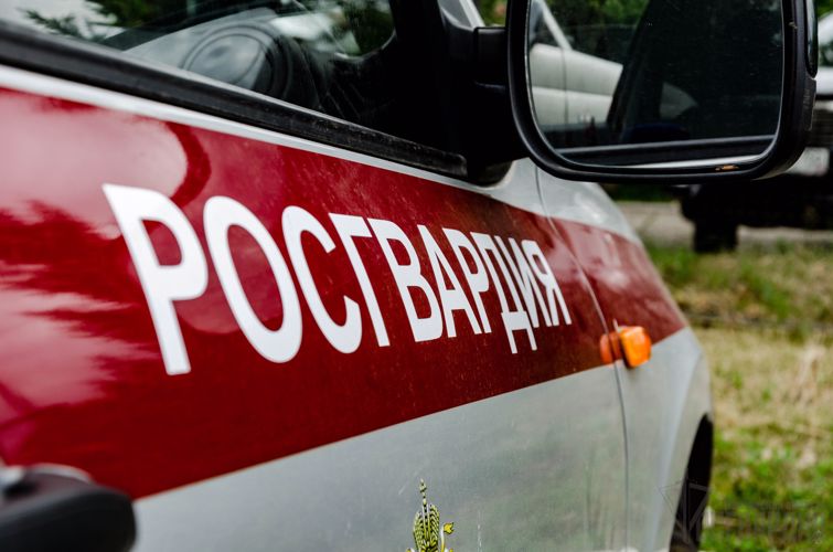 Сотрудники Росгвардии задержали подозрительных граждан с автомагнитолой