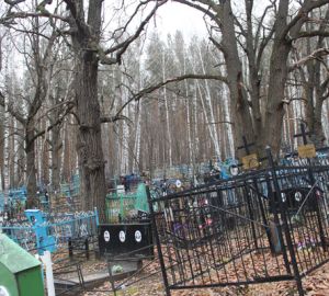 Администрацию Кузнецка обязали оформить кладбище в районе Бутурлинки