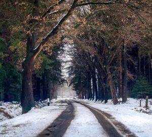 Водителям напомнили об основных правилах управления машиной при ухудшении погоды
