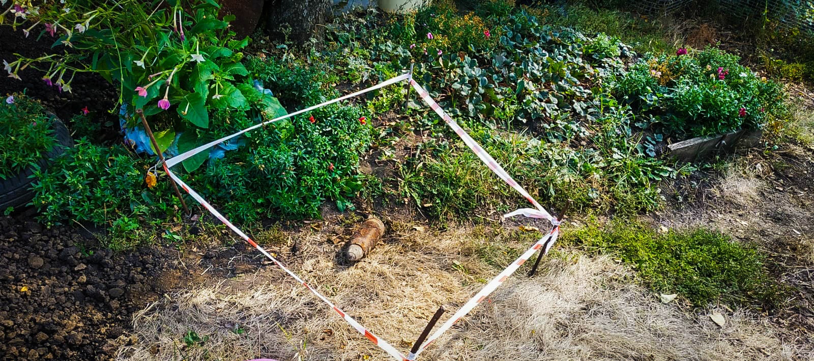 Житель Пензенской области нашел во дворе снаряд времен первой мировой войны